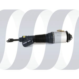 Volkswagen Phaeton Federbein vorne links neu 3W0616039