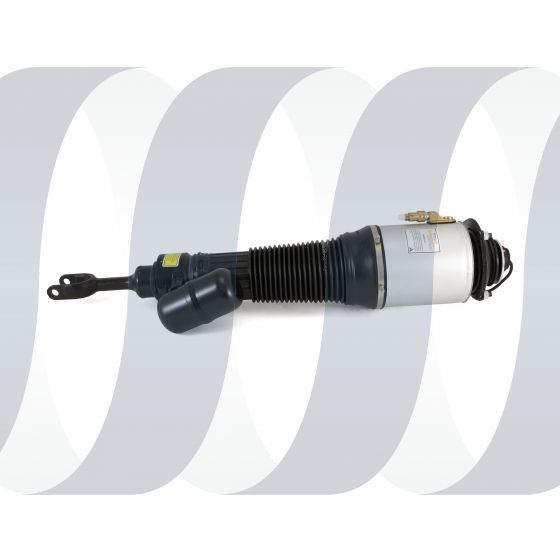 Volkswagen Phaeton Federbein vorne links Aufgearbeitet | OEM 3W0616039