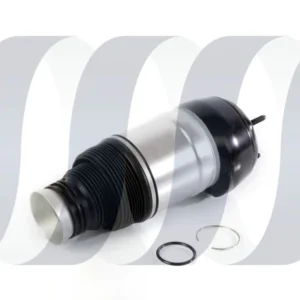 Mercedes M-Klasse W166 Feder vorne links A1663205166