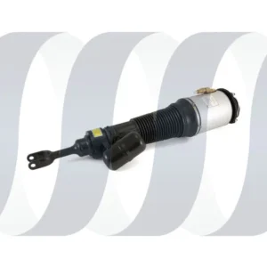 Bentley Continental GT Federbein vorne links Aufgearbeitet | OEM 3W0616039