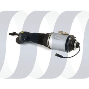 Bentley Flying Spur Federbein vorne links überholt | 3W0616039