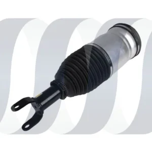 Dodge Ram 1500 Stoßdämpfer vorne