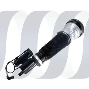 Mercedes S-Klasse W220 4Matic Stoßdämpfer vorne rechts A2203202238