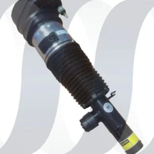 BMW Serie X5 G05 Stoßdämpfer vorne links 37106869029