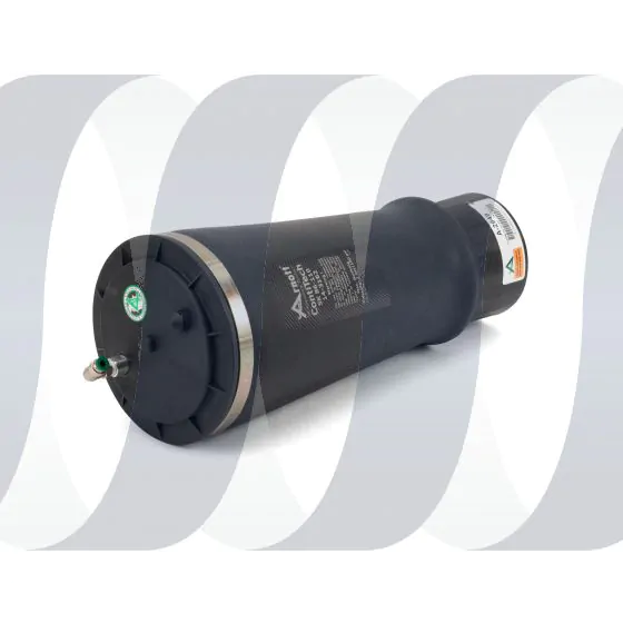 Toyota Land Cruiser | Lexus GX 470 Federbalg hinten – Bild 4