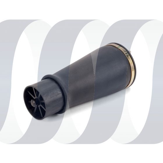 Toyota Land Cruiser | Lexus GX 470 Federbalg hinten – Bild 3