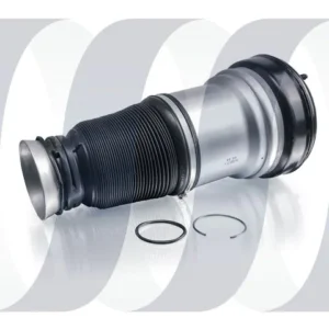 Mercedes S-Klasse W220 Dunlop Feder vorne A2203202438 A2203205113