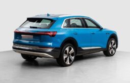 
										Audi e-tron full									